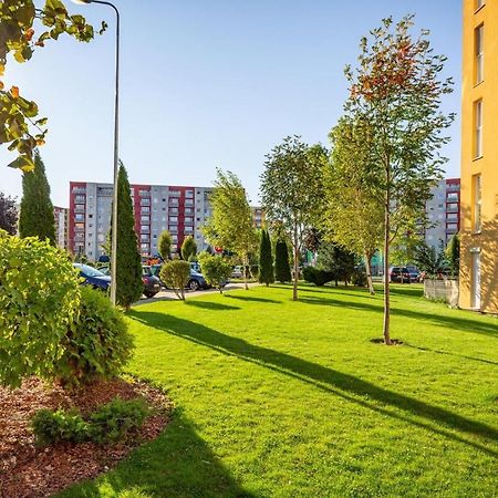 Apartment Richy 브라쇼브 외부 사진