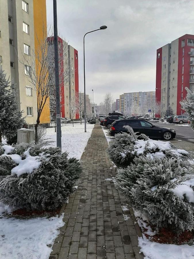 Apartment Richy 브라쇼브 외부 사진